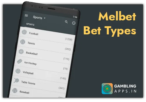 Melbet Bet Types